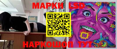 винт Можга