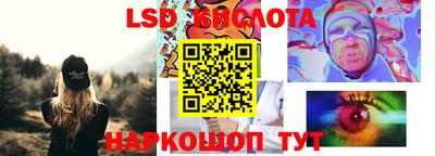 винт Можга